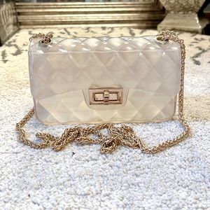 Clear Plastic Jelly Purse with Gold Chain and Accents